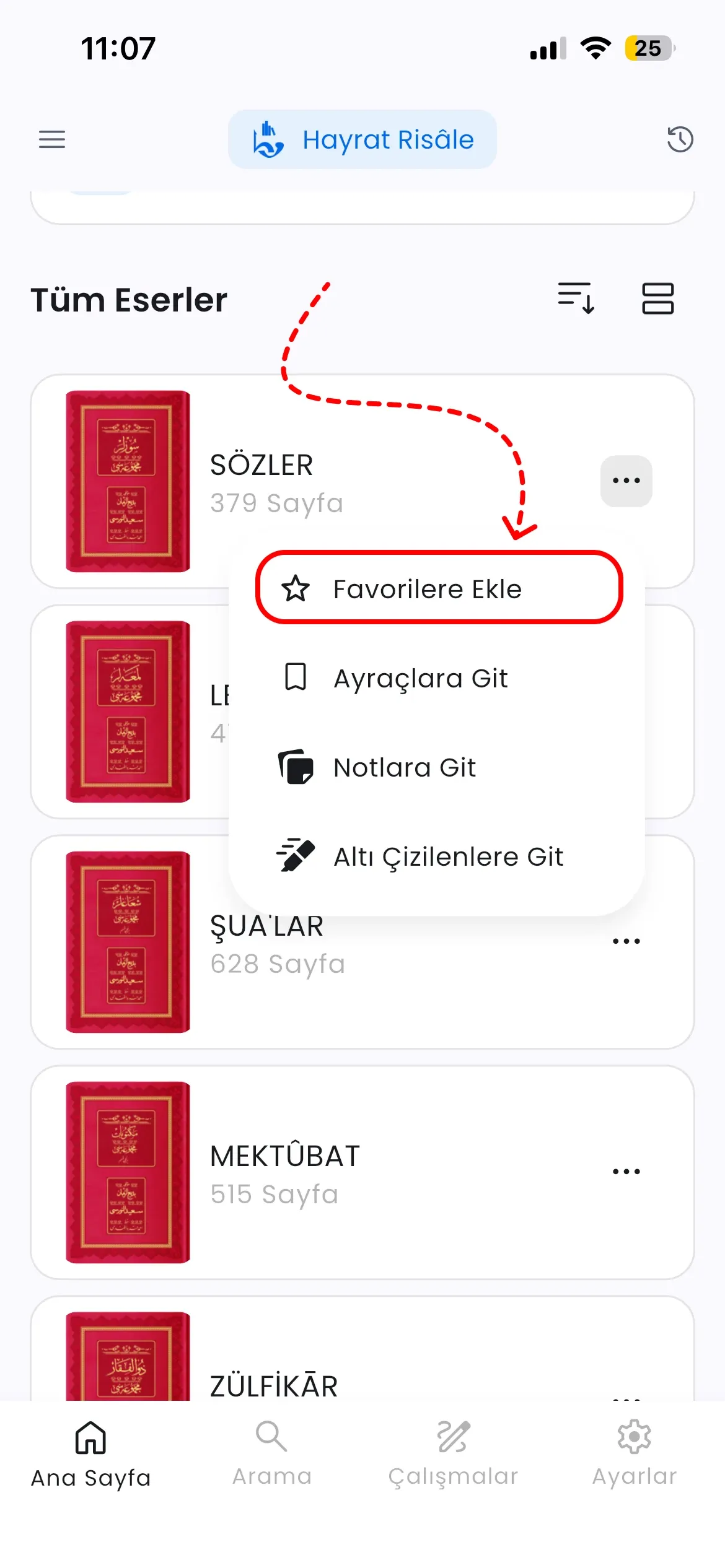 Eser menüsünde Favorilere Ekle seçeneği