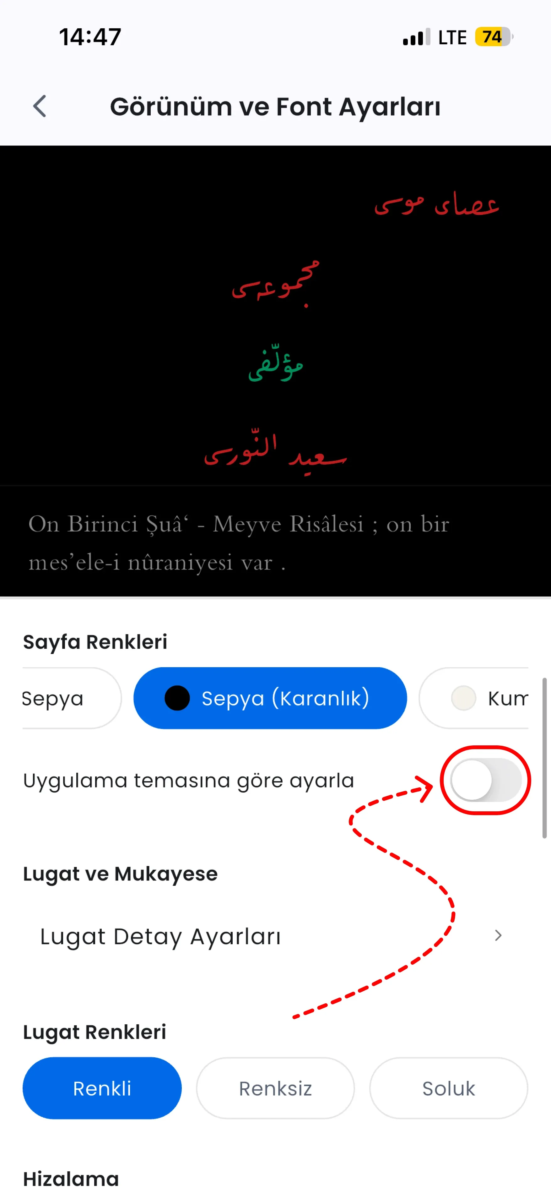 Sayfa Renkleri ve uygulama temasına göre ayarla anahtarı